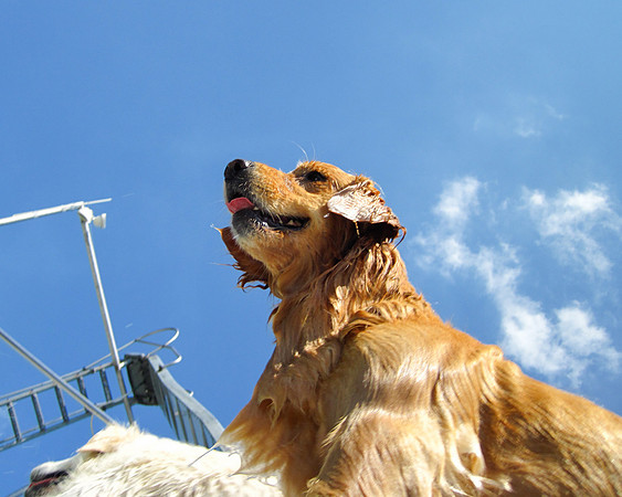 LUCY-IMG_1755