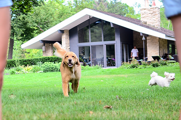 LUCY-DSC_8259-3