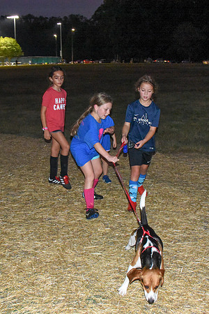 SOCCER 2019-20-2