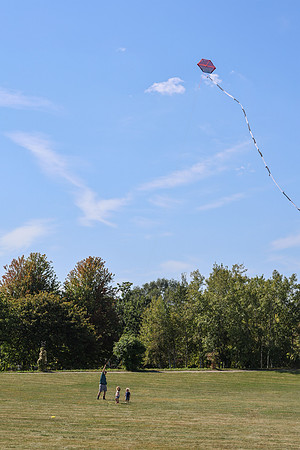 KITES!-7873