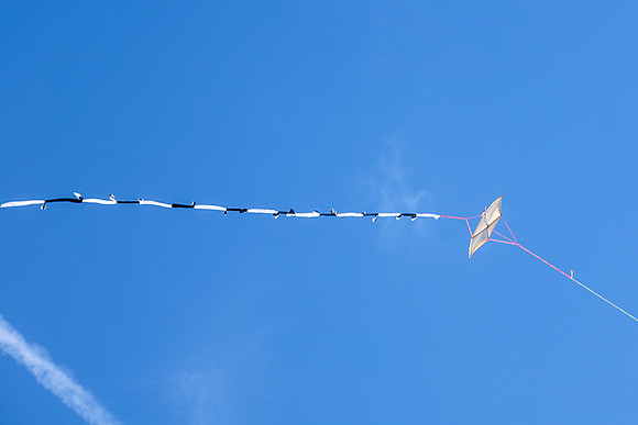 KITES!-7927