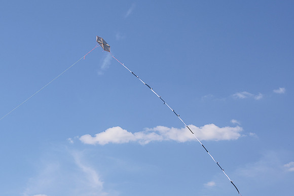 KITES!-7947