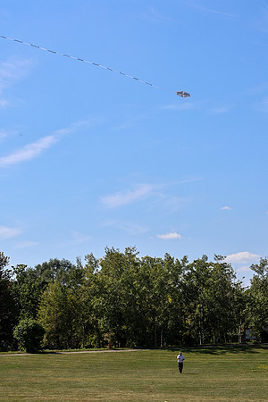 KITES!-7951