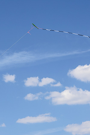 KITES!-7977