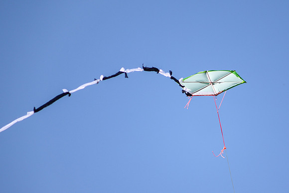KITES!-7981