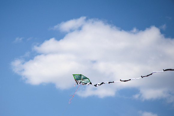 KITES!-7983
