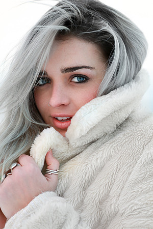 TAYLOR-2642-3