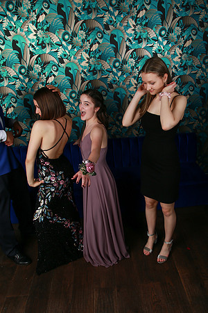 PROM 2019-8942