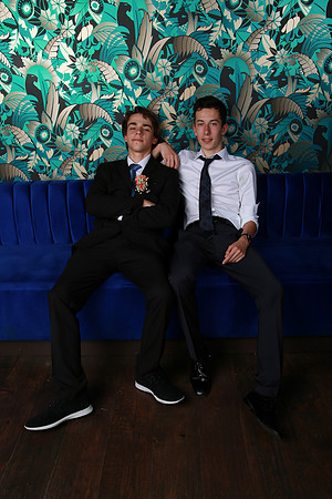 PROM 2019-8478