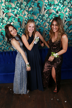 PROM 2019-8048