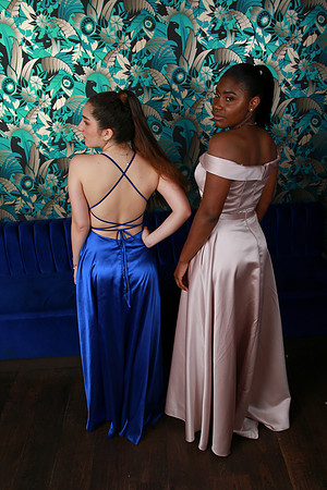 PROM 2019-9096