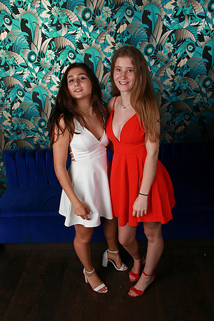 PROM 2019-8645