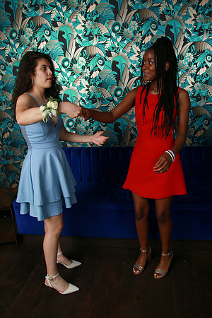 PROM 2019-9044