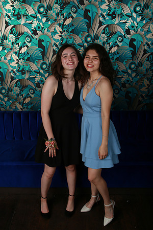 PROM 2019-8676