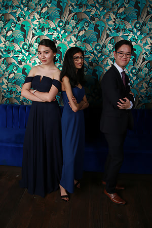 PROM 2019-8191