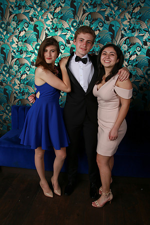 PROM 2019-8761