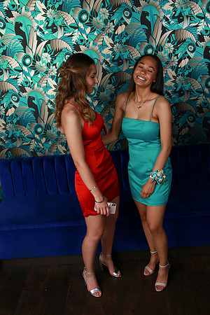 PROM 2019-8727