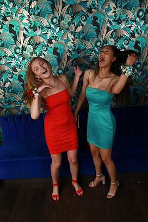 PROM 2019-8739