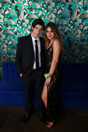 PROM 2019-8547