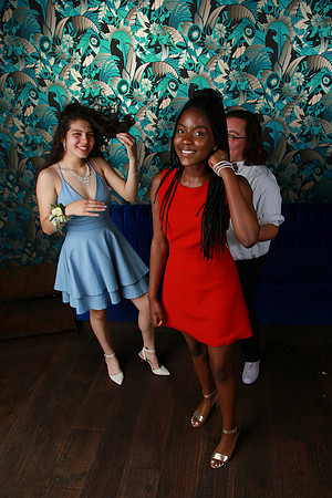 PROM 2019-9039