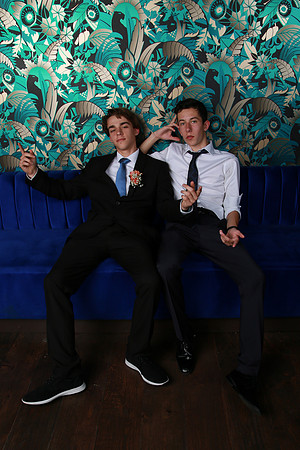 PROM 2019-8481
