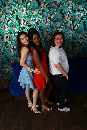 PROM 2019-9028