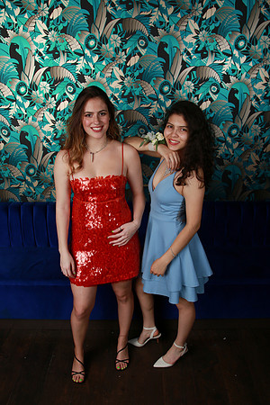 PROM 2019-8667