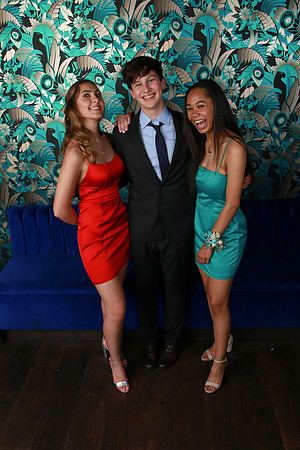 PROM 2019-8722