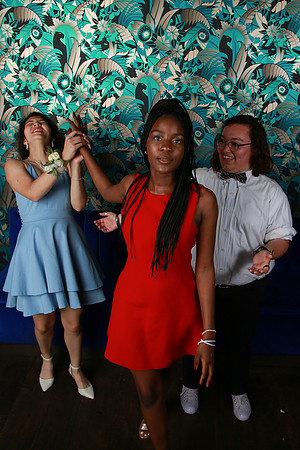 PROM 2019-9036