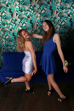 PROM 2019-8868