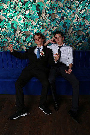 PROM 2019-8480