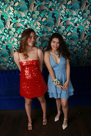 PROM 2019-8668
