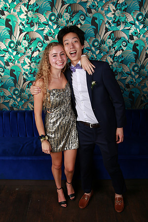 PROM 2019-8394