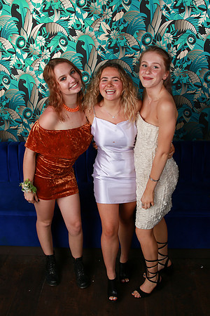PROM 2019-8743
