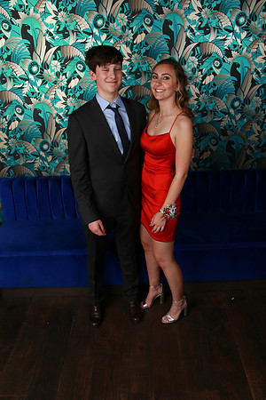 PROM 2019-8704