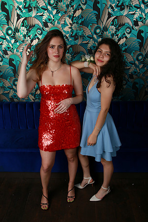 PROM 2019-8666