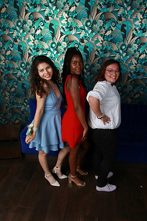 PROM 2019-9031