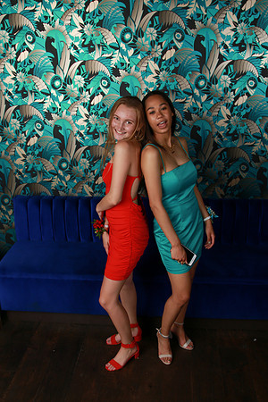 PROM 2019-8736