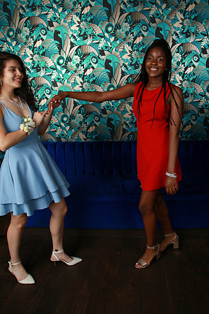 PROM 2019-9046