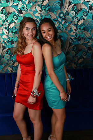 PROM 2019-8731