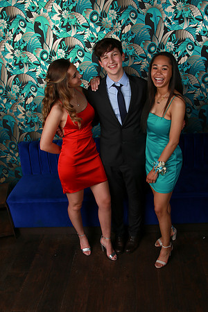 PROM 2019-8724