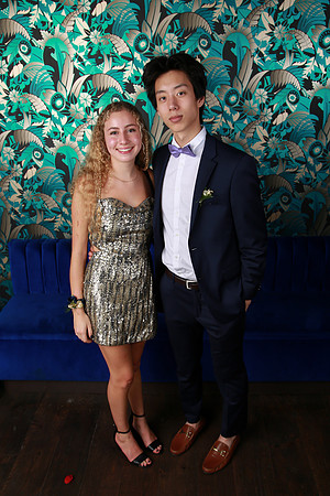 PROM 2019-8384