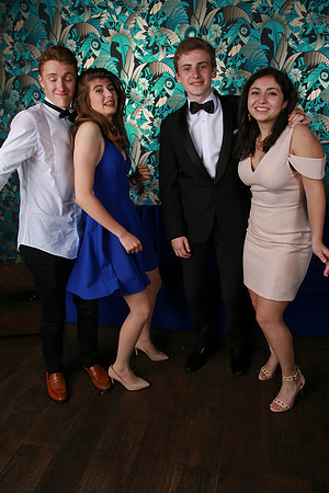 PROM 2019-8769