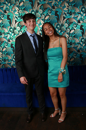 PROM 2019-8715