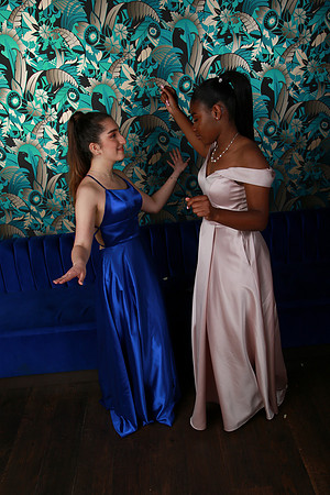 PROM 2019-9088