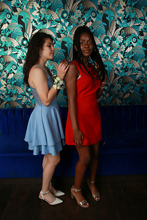 PROM 2019-9042