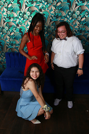 PROM 2019-9033