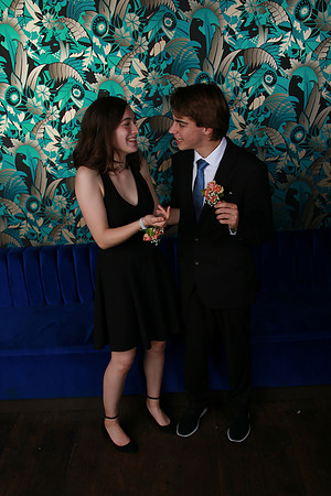 PROM 2019-8690