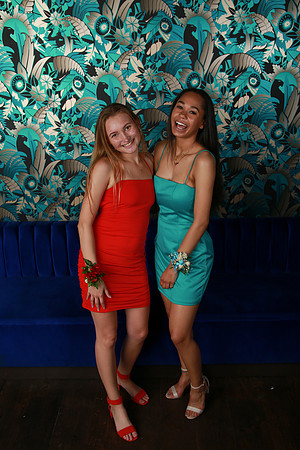 PROM 2019-8735