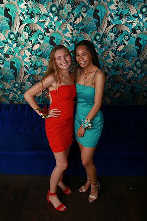 PROM 2019-8734